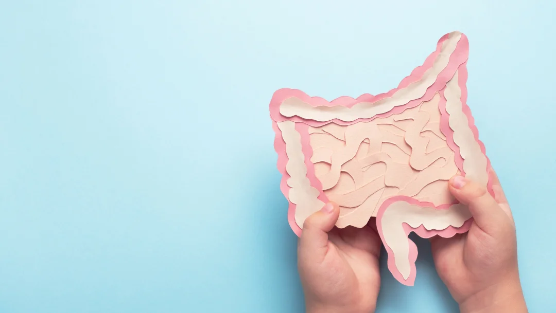 LeanBiome probiotic capsules for weight loss and healthy gut flora